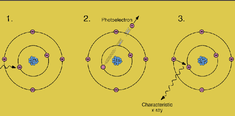 <ol><li><p>Incident photon collides with an inner-shell electron in an atom of the absorbing medium</p></li><li><p>The electron is ejected (ionization)</p></li><li><p>Transfers all energy to the electron; incident photon ceases to exist</p></li><li><p>An electron from higher energy level fills the vacancy</p></li><li><p>Characteristic radiation is emitted (low energy, absorbed in the patient)</p></li><li><p>The recoil electron (photoelectron) travels a short distance before giving up all its energy</p></li></ol><p></p>