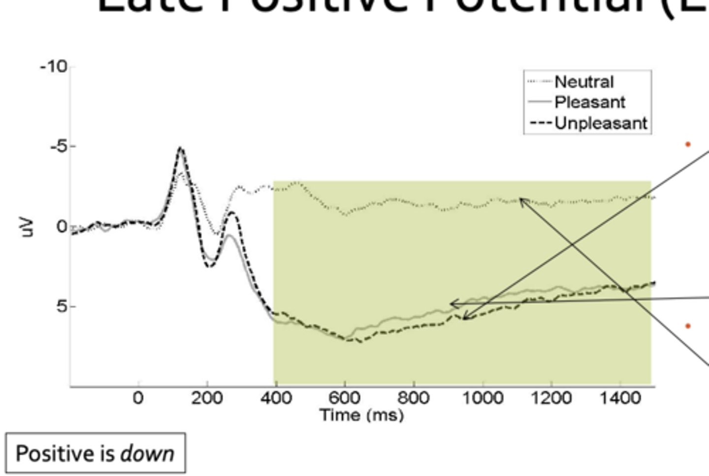 <p>positive is down</p>