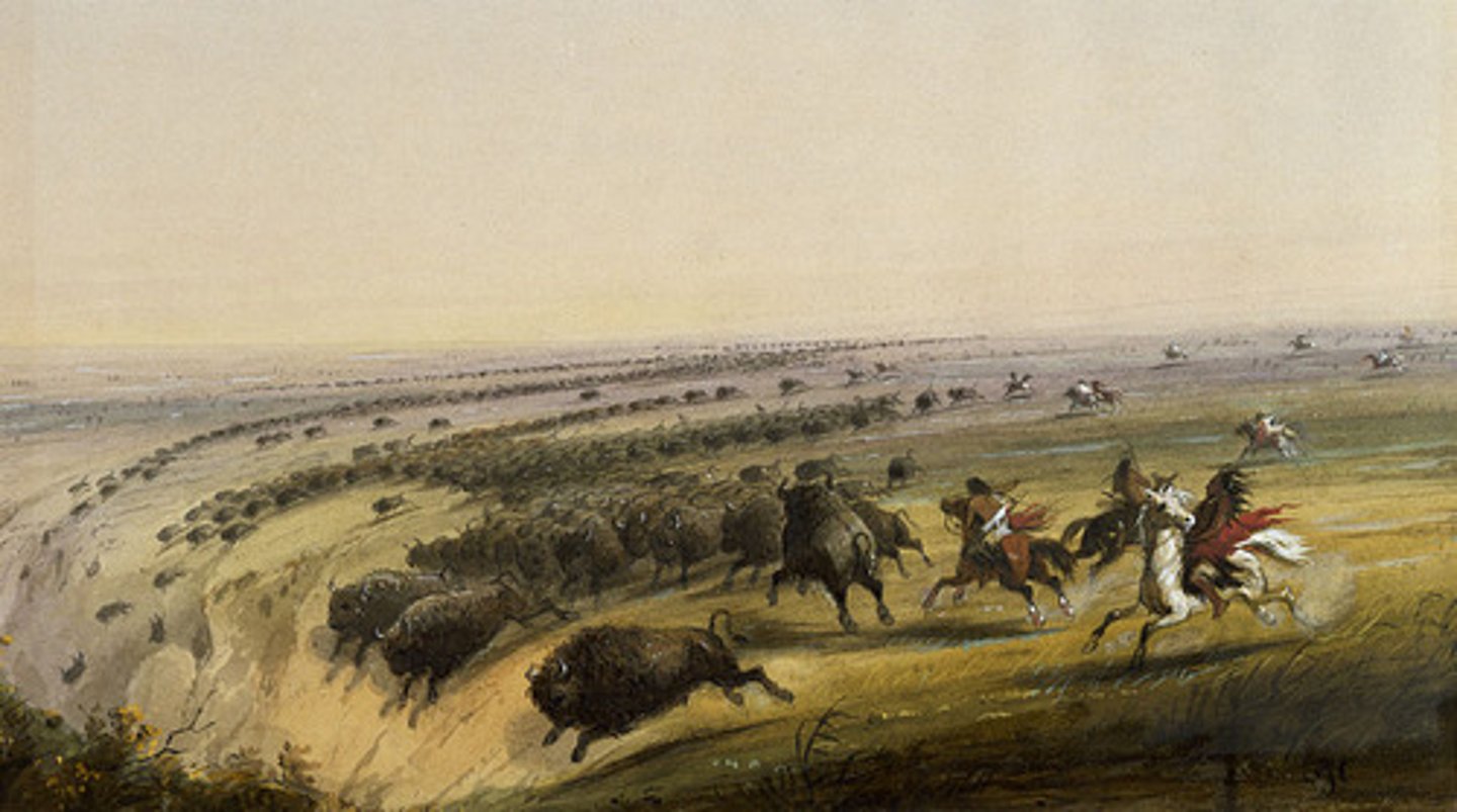 <p>American Indian tribe that started using horses in the 17th century. This allowed them to change from farming to nomadic buffalo hunting. (p. 4)</p>