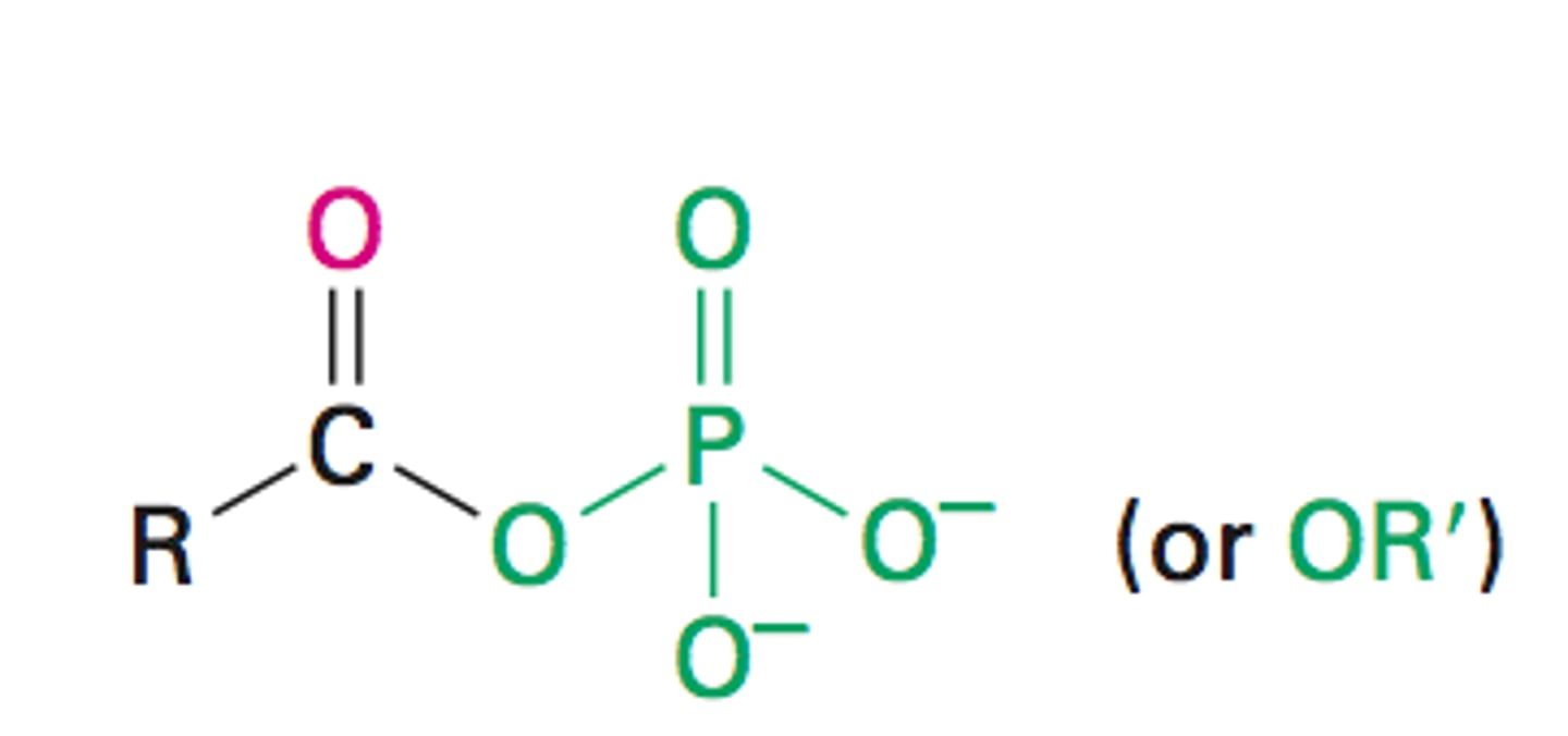 <p>-oyl phosphate</p>