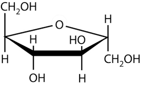 <p>Which Macromolecule is shown by the image?</p>