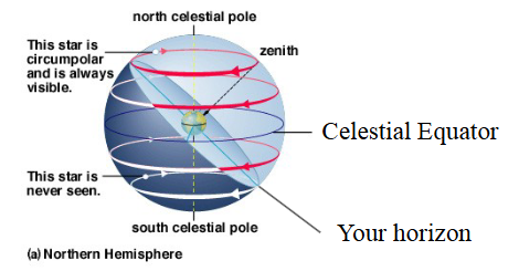 <ul><li><p>Stars near the north celestial pole are circumpolar and never set.</p></li><li><p>We cannot see stars near the south celestial pole.</p></li><li><p>All other stars (and Sun, Moon, planets) rise in east and set in west.</p></li></ul><p></p>