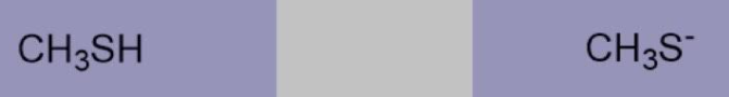 <p>Methanethiol (thiol), Methanethiolate</p>