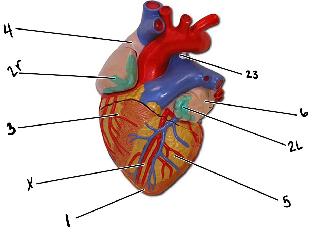 <p>1</p>