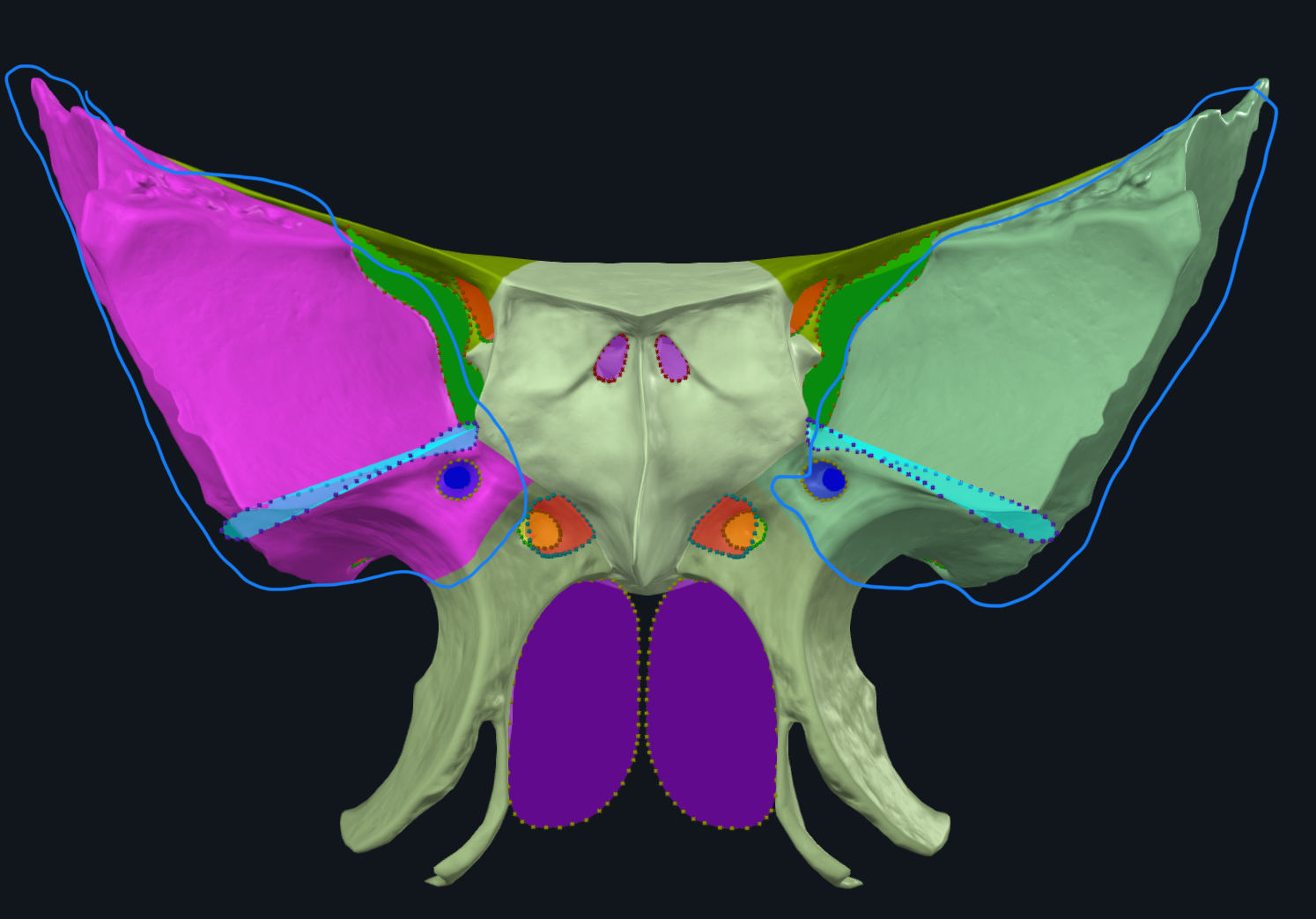<p>what is this?</p>