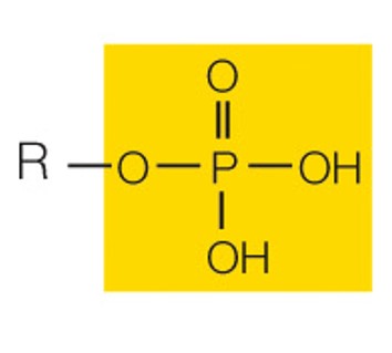 state the name and polarity of this functional group