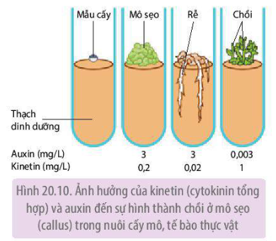 <p>*chú ý số liệu.</p>