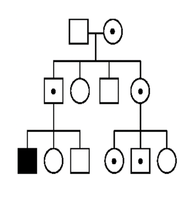<p>This pedigree is consistent with (maternal/paternal/neither)</p>