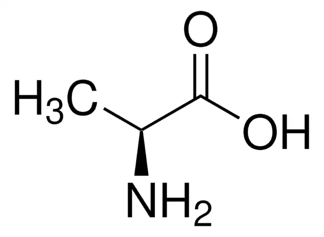<p></p>