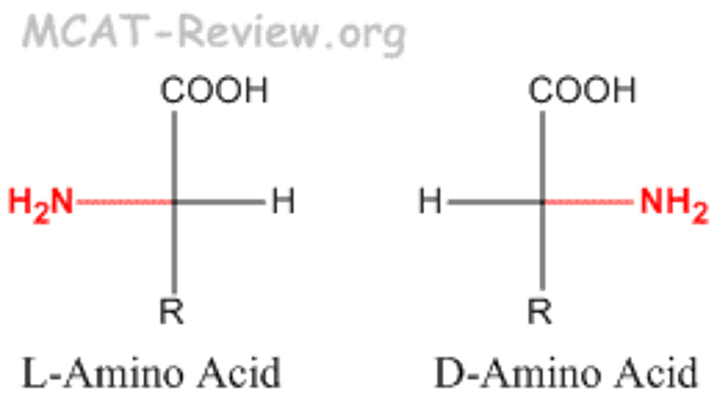 <p>C-terminus at top. N-terminus on left for L and right for D. Side chain on the bottom. H opposite amine.</p>