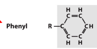 aromatic carbon group