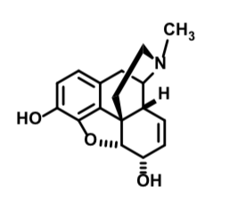 <p>Mu agonist </p><p>Metabolized by CYP450 to Normorphone </p>