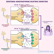 <p>Reuptake inhibitors</p>