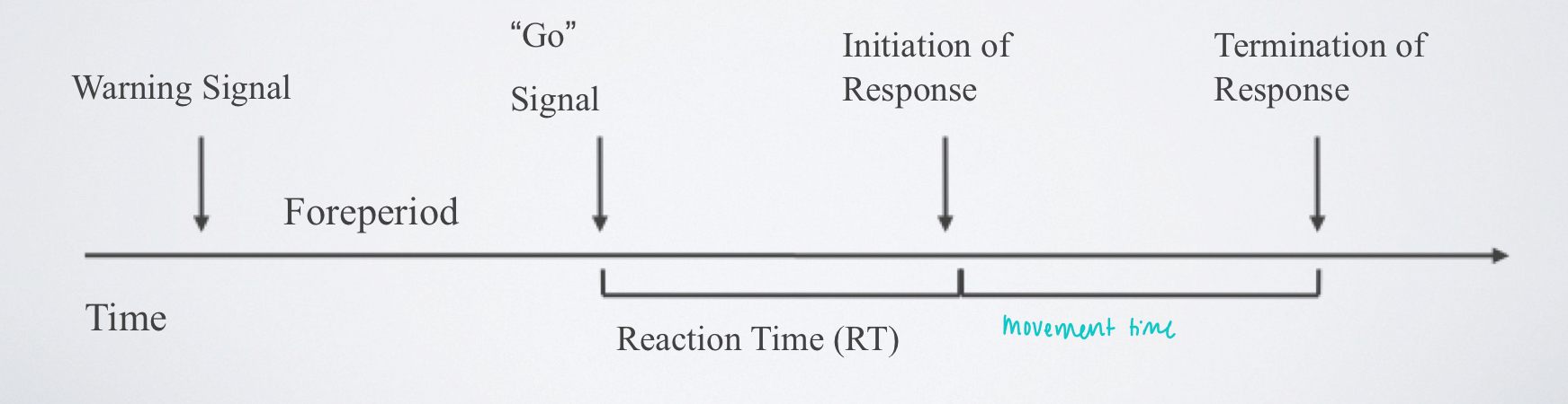 <p>the interval of time between the initiation of a movement and the completion of the movement</p>