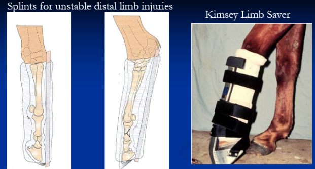 <p><span style="background-color: transparent;"><strong><span>Distal Limb Splints</span></strong></span></p>