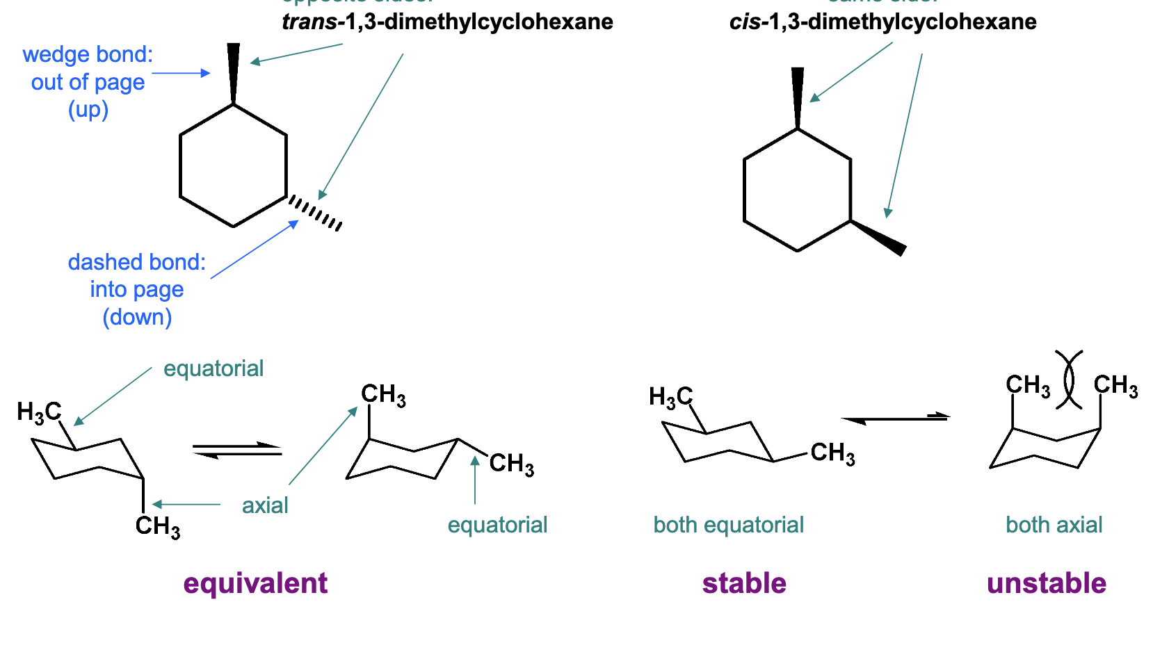 <p>Rings prevent free rotation around single bonds.<br><br>Isomers can exist when two or</p><p>more substituents are attached.</p><p><span data-name="black_small_square" data-type="emoji">▪</span> The isomers do not interconvert</p><p>(would require breaking of C–C</p><p>bonds).</p><p><span data-name="black_small_square" data-type="emoji">▪</span> These isomers are stereoisomers</p><p>- they differ by the arrangement</p><p>of atoms in space</p><p><span data-name="black_small_square" data-type="emoji">▪</span> Also called cis/trans isomers,</p><p>diastereomers<br><br>WHEN BOLD LINE, THE BOND IS POINTING UP, WHEN IT IS DASHED IT IS POINTING DOWN (can be axial or equatorial). </p>