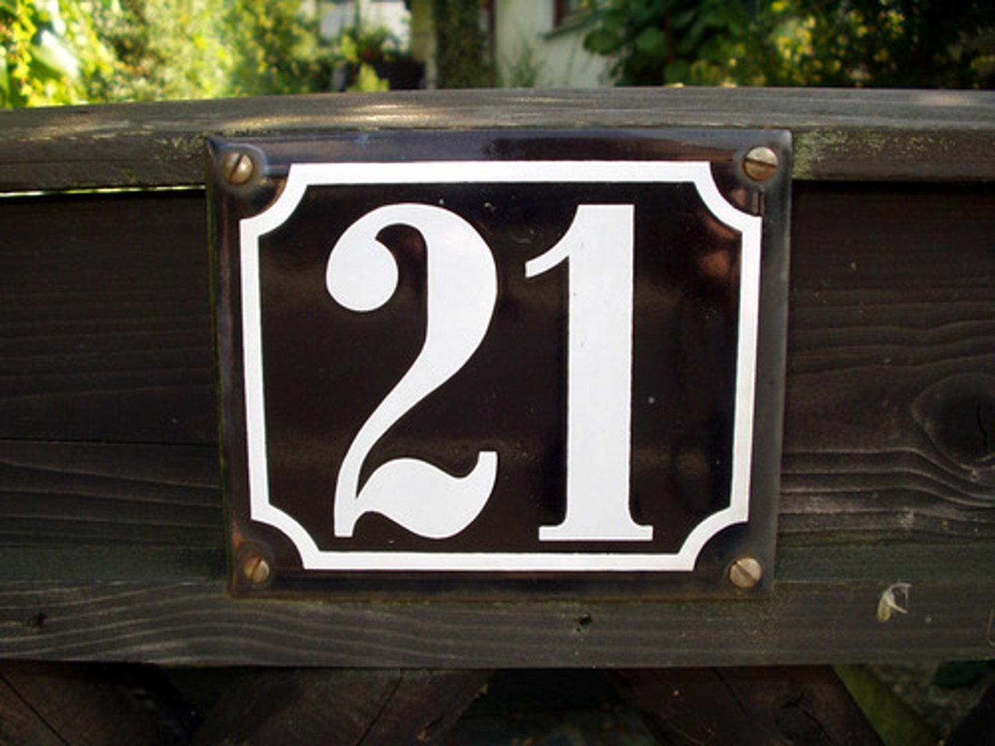 <p>21</p>