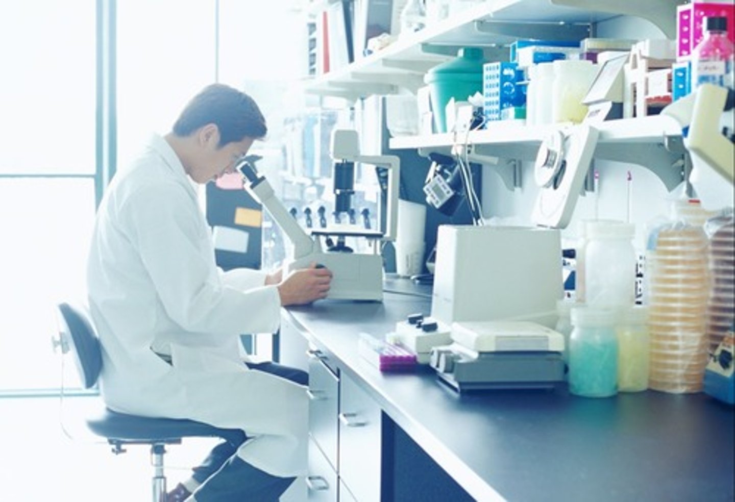<p>lab</p>