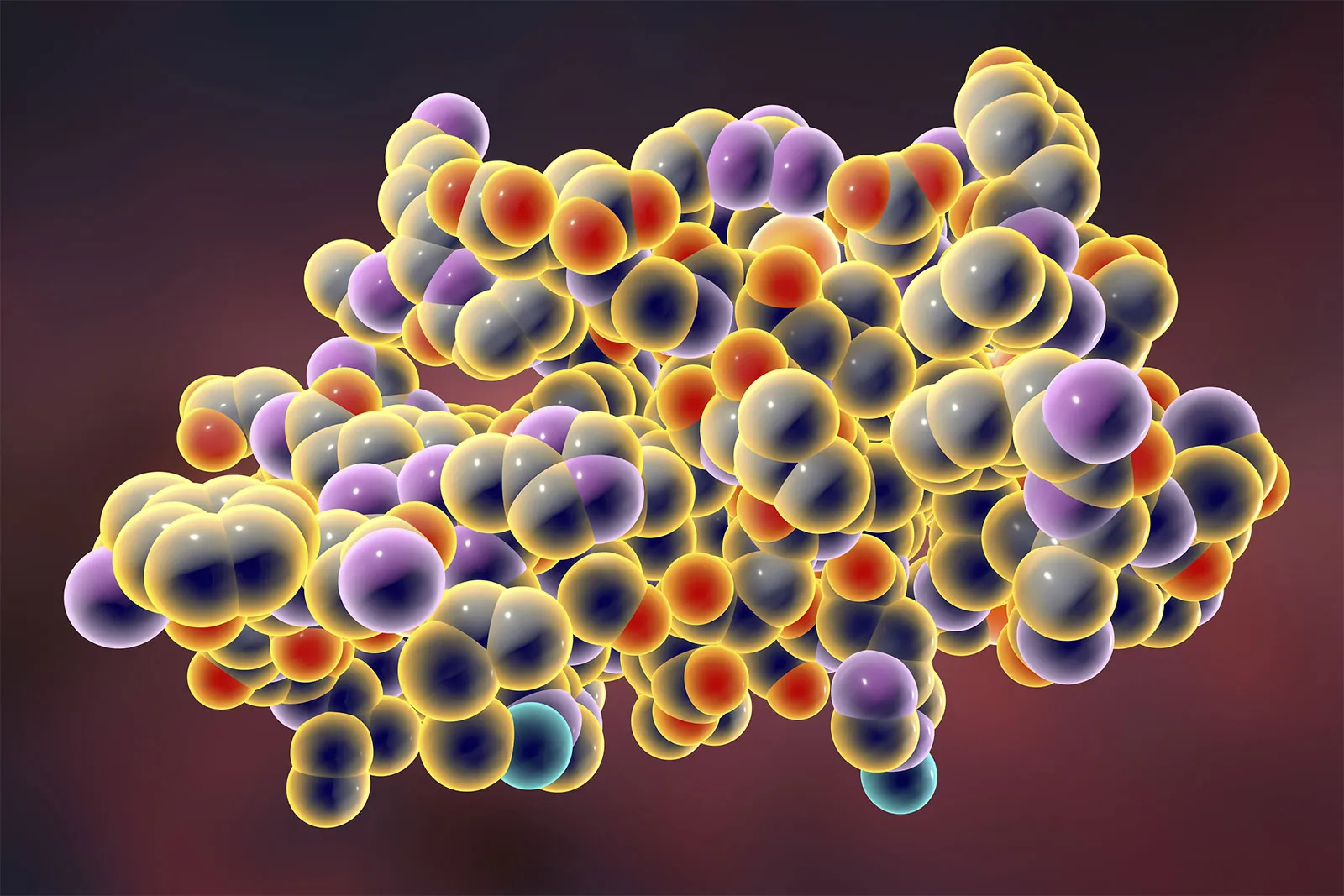 <p>Polysaccharides, lipids, proteins</p>