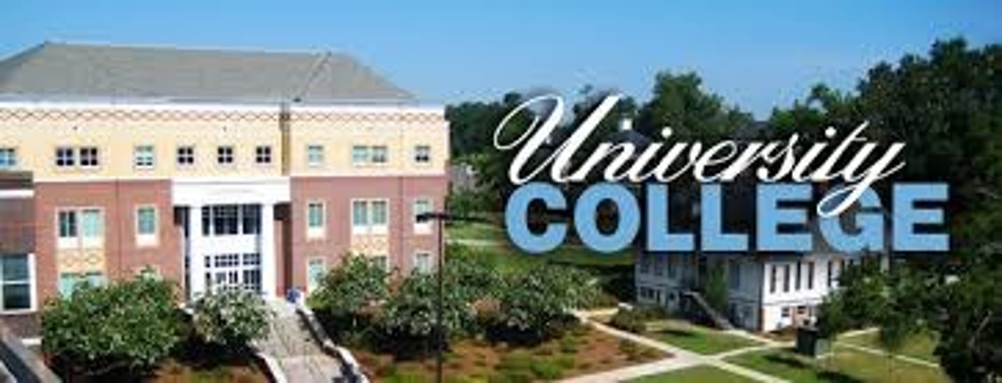 <p>(n): giáo dục cao hơn</p>