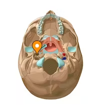 knowt flashcard image