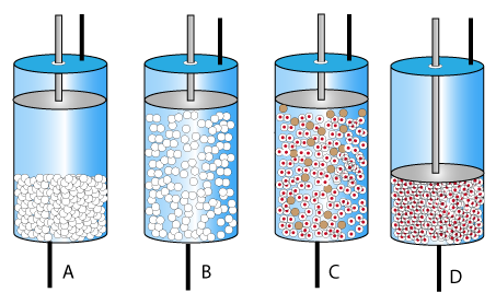 <p>Expanded Bed Adsorption: 3 Gradients</p>