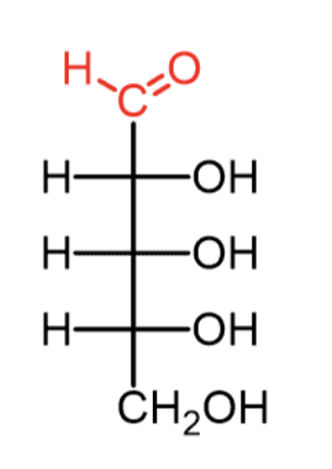 <p>what is the name of this structure </p>