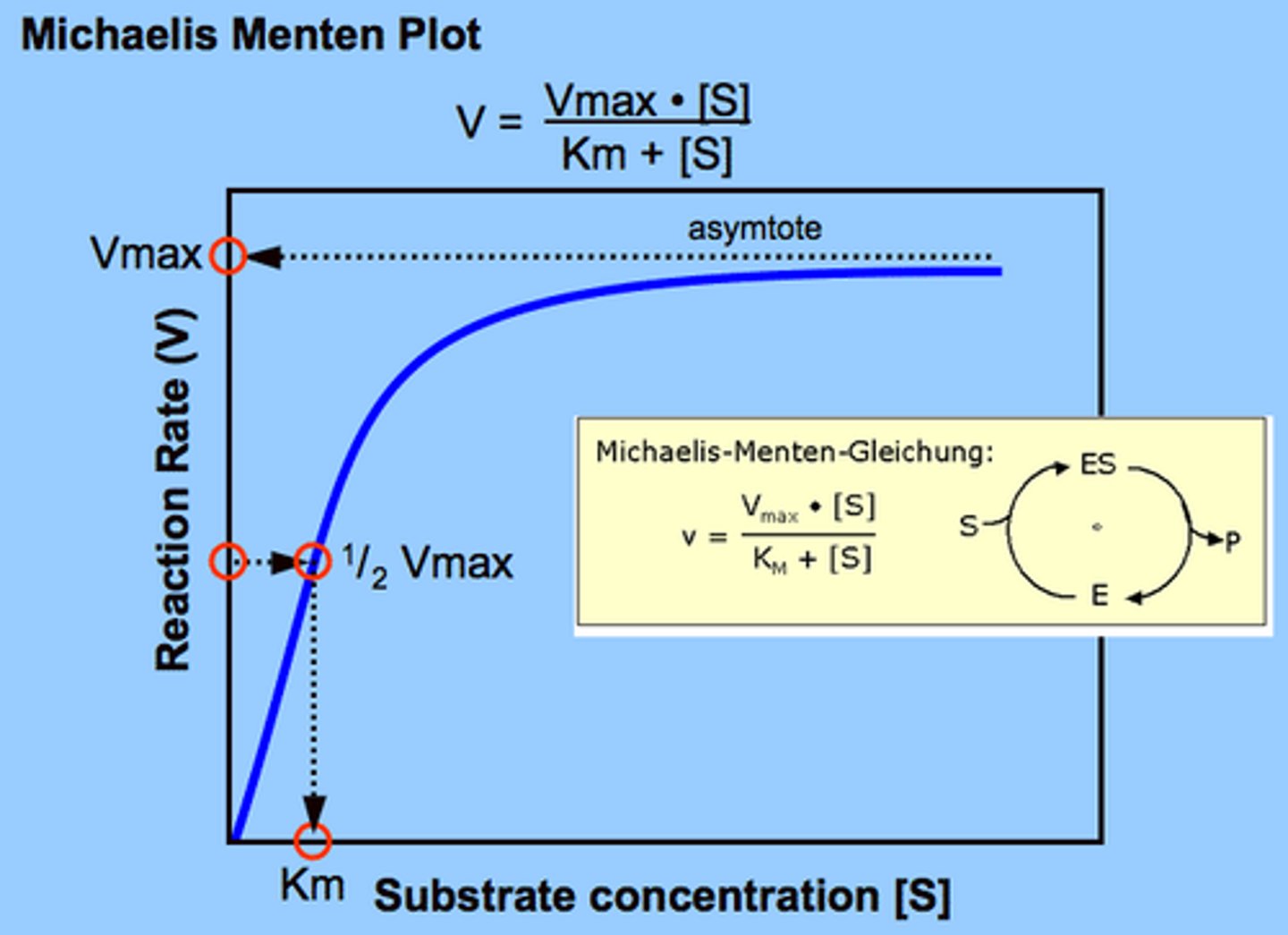 <p>• Vo is the initial velocity of the reaction</p><p>• Vmax is the maximum velocity</p><p>• [S] is the substrate concentration</p><p>• Km is Michaelis-Menten constant: the substrate concentration at which the reaction velocity is half of the maximum velocity</p>
