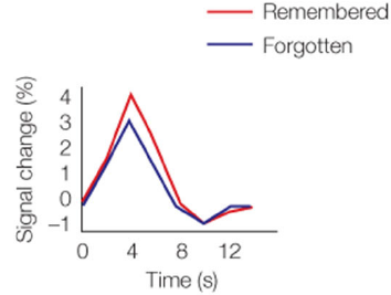 <p>• measure brain activity during encoding of items </p>
<p>• test memory for those items later outside of scanner </p>
<p>• analyze imaging data collected during encoding as function of remembered vs. forgotten items </p>
<p>• greater MTL activity for remembered vs. forgotten items during encoding</p>