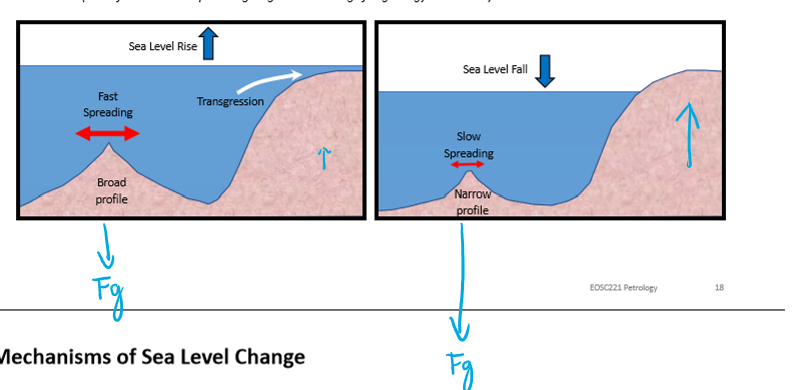 <ul><li><p><strong>High spreading rates</strong>: Broad, Hot, Buoyant ridges - displace large volumes of ocean onto continents</p></li><li><p><strong>Low spreading rates</strong>: Narrow, cool, dense ridges - displace less volumes of ocean onto continents</p></li></ul><p></p>