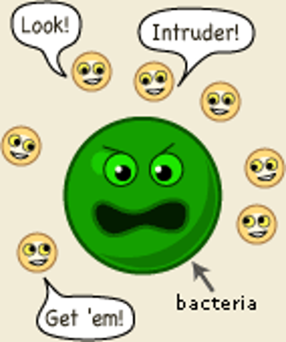 <p>the network of cells and organs that defend the body against infection</p>
