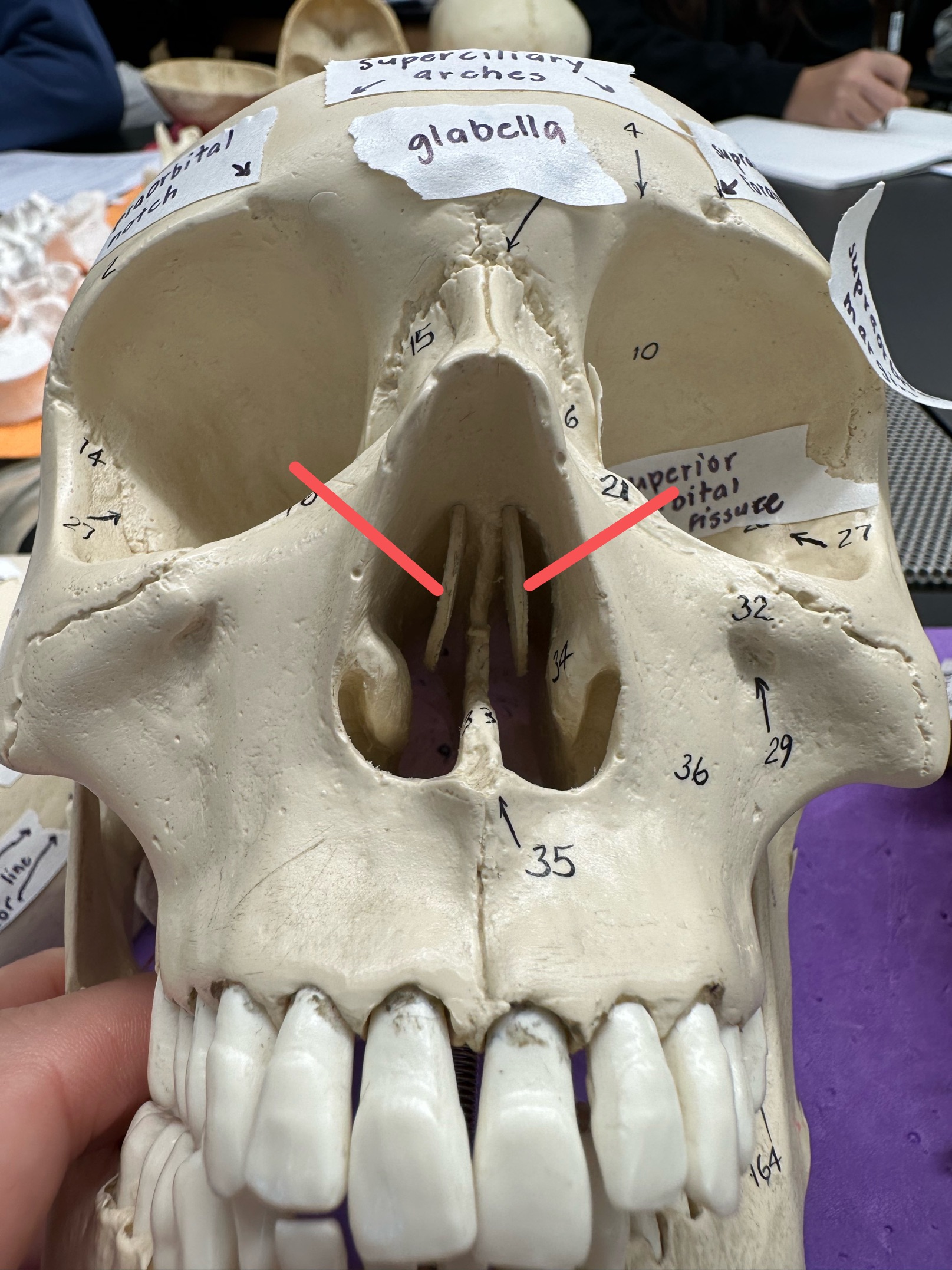 <p>ID feature</p>