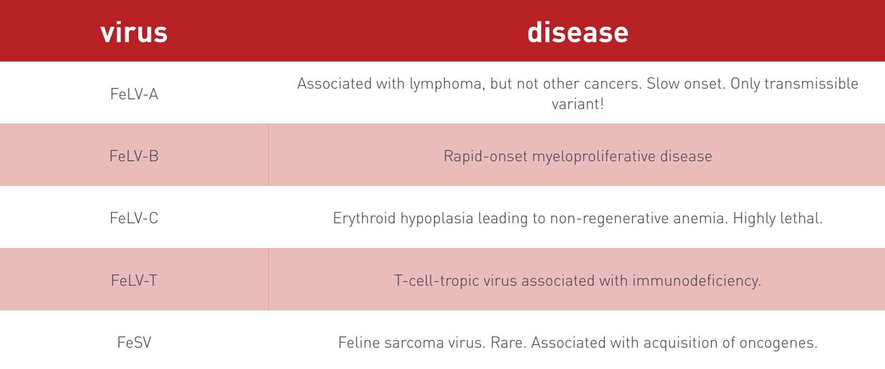 <ul><li><p><strong>only FeLV-A is replication-competent and transmissible among animals</strong></p></li><li><p>other forms arise in infected cats through <strong>mutation</strong> — recombination between FeLV &amp; endogenous retroviruses or cellular proto-oncogenes</p></li><li><p><strong>non-A viruses occur only as co-infections, with FeLV-A as their helper virus</strong></p><ul><li><p><strong>these variants are not replication-competent</strong></p></li></ul></li><li><p>multiple variants have been described in association with specific disease complexes</p></li></ul><p></p>