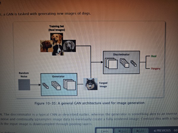<p>A neural network architecture that pits two different neural networks against each other, typically to generate images</p>
