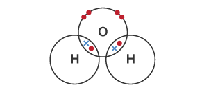 <ul><li><p>two single shared pairs of electrons</p></li><li><p>between two hydrogen atoms</p></li><li><p>and one oxygen atom</p></li></ul>