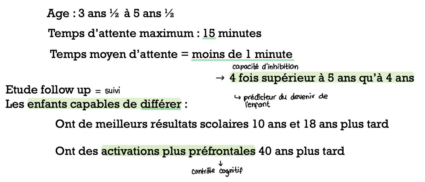 <p>→ test du Marshmallow </p><ul><li><p>détourner son attention </p></li><li><p>mettre en mouvement le corps </p></li></ul><p></p>