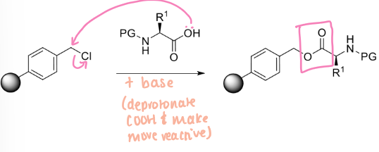 <p>amino acid with PG on N-terminus and merrifield resin</p><p>base to deprotonate COOH</p>