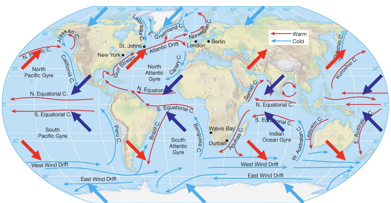 <p>study the gyres </p>