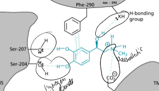 <p>H-bonds, electrostatic interactions, interacted between two benzene rings </p>