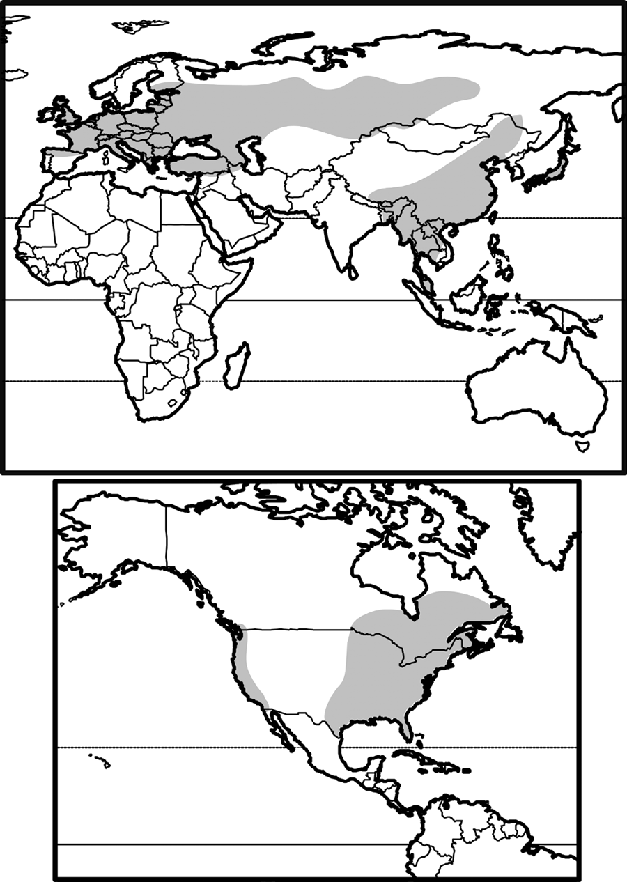 north america and eurasia

absent in south america, africa, australasia