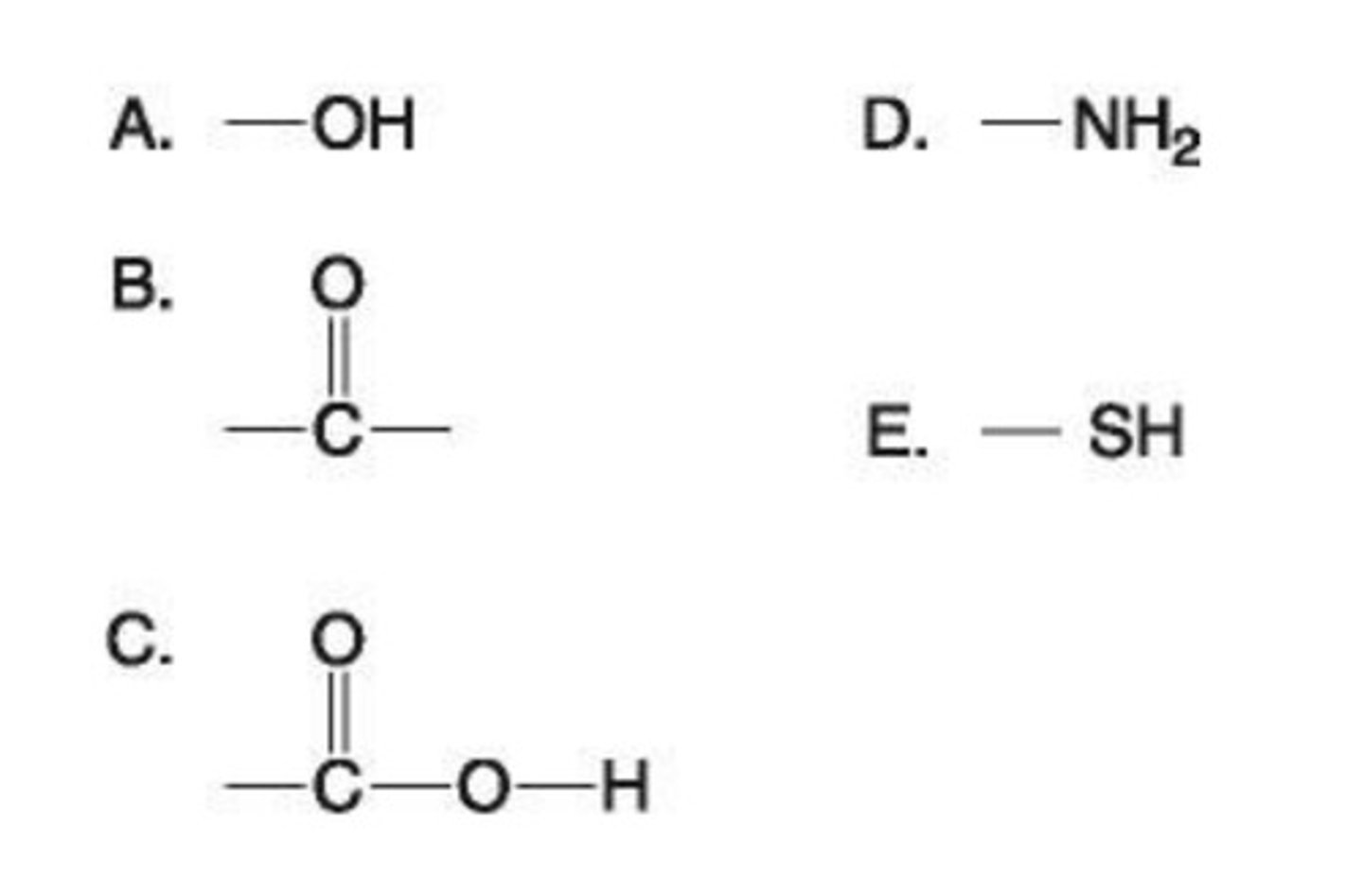 <p>E. Sulfhydryl</p>