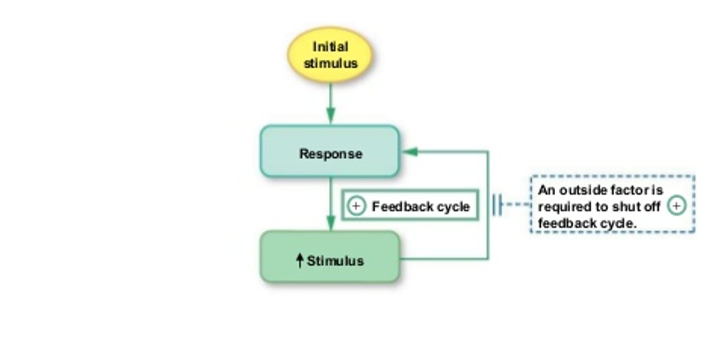 <p>See Diagram</p>