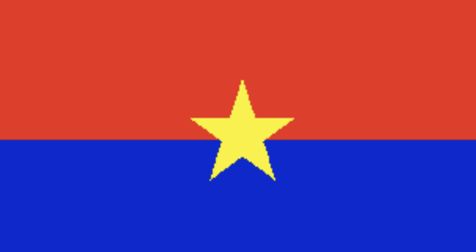 <p>What is Vietcong? </p>