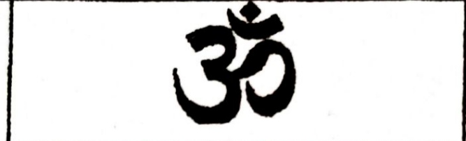 <ul><li><p>the Vedas</p></li><li><p>Statement on Peace : Tolerance of all faiths as they believe that all paths lead to the same goal</p></li></ul>