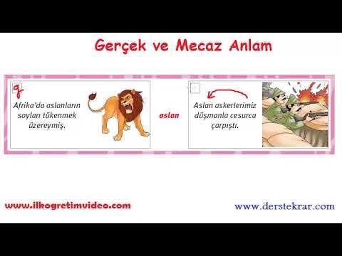 <p><strong>Mecaz</strong></p>