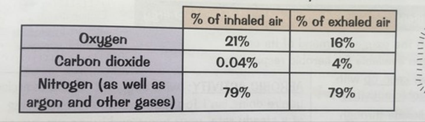<p>Remember table</p>