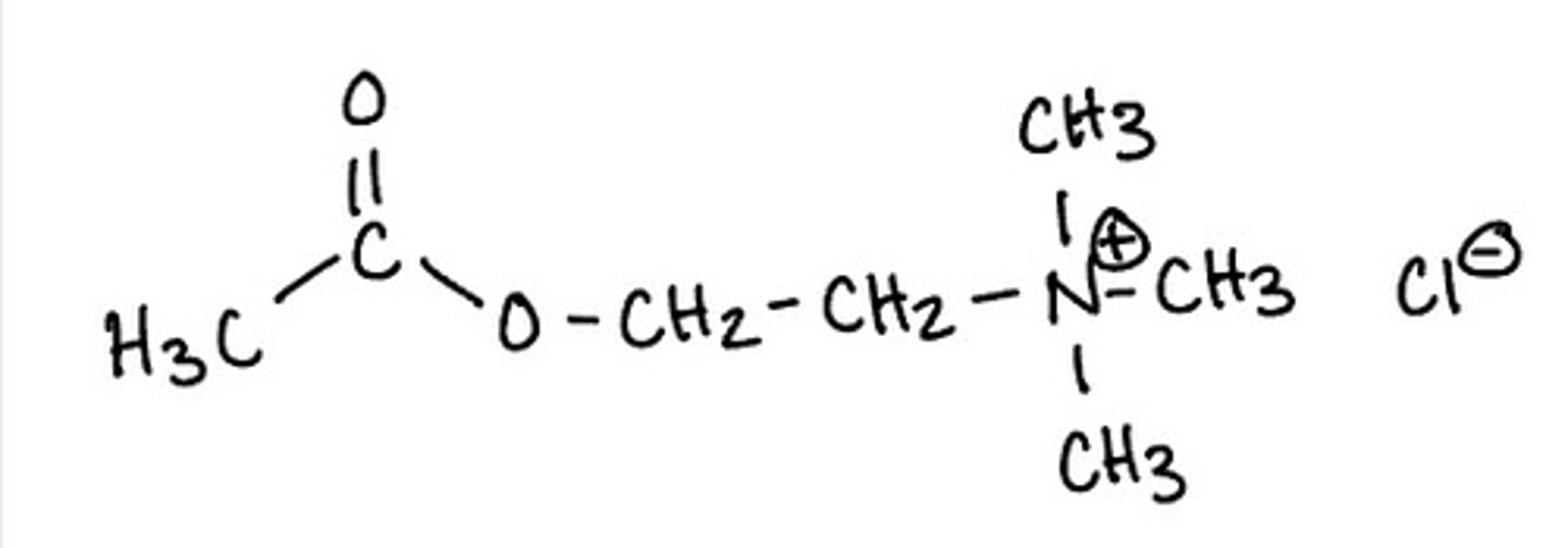 <p>nonselective direct-acting agonist (endogenous ligand)</p>