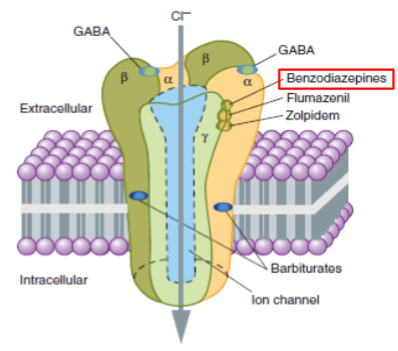 <ul><li><p>Positive allosteric modulator of GABA<sub>A</sub> receptor (an inhibitory channel that decreases neuronal activity) </p></li><li><p>used for treatment of anxiety, insomnia, and seizures</p></li><li><p>increases frequency of ion channel opening when GABA binds to GABA<sub>A</sub> receptor</p><ul><li><p>leads to more chloride ions entering the neuron</p></li><li><p>CNS depressant effects</p></li></ul></li></ul>