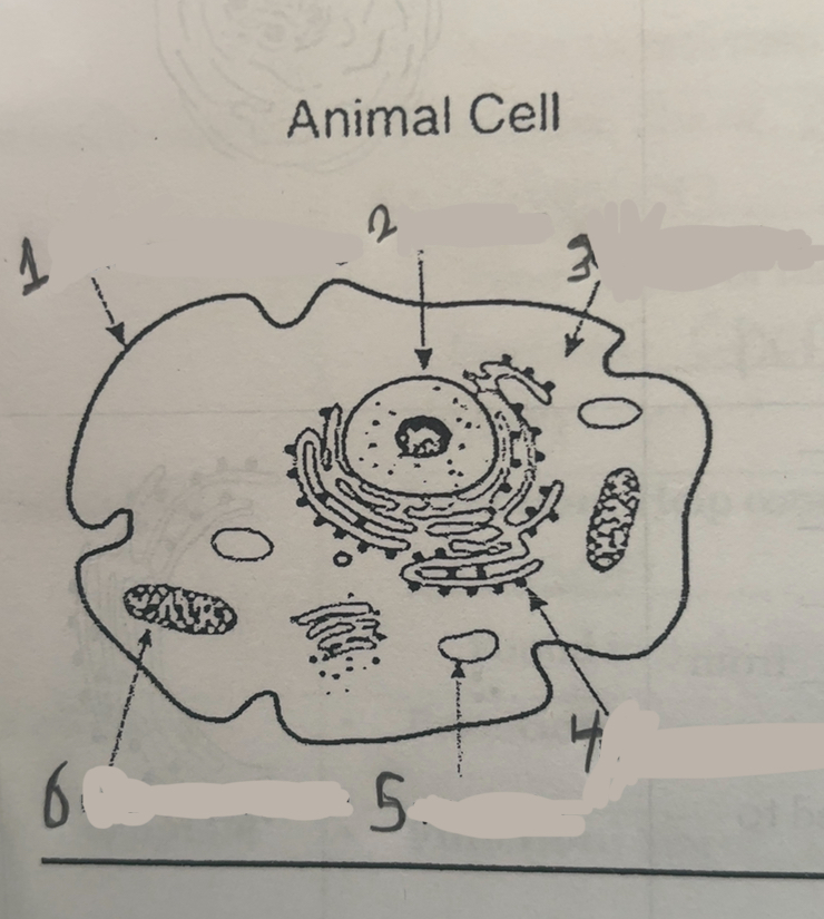 <p>What is number one</p>
