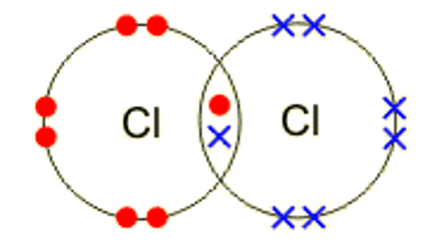 <p>bonding where elements share electrons</p>